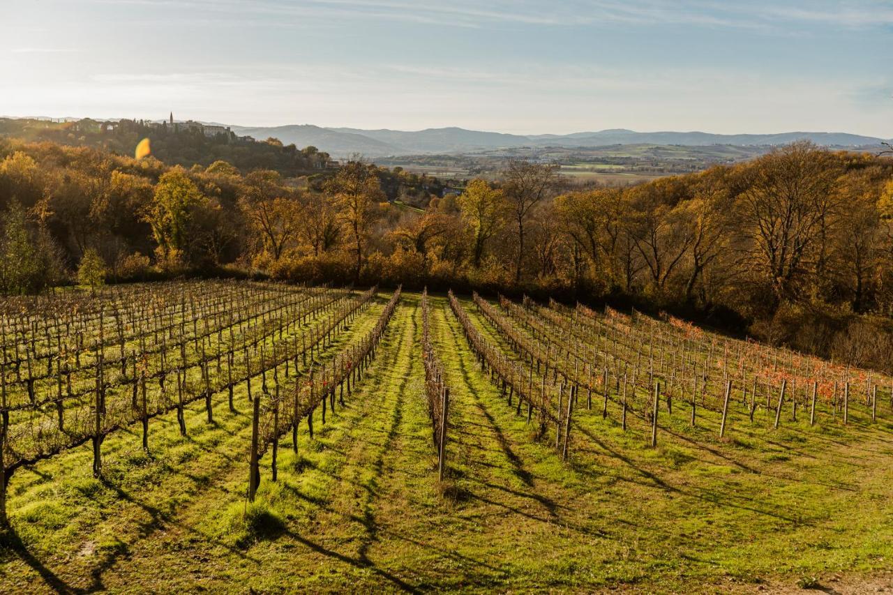 Agriturismo Le Cerque Collazzone Exteriér fotografie