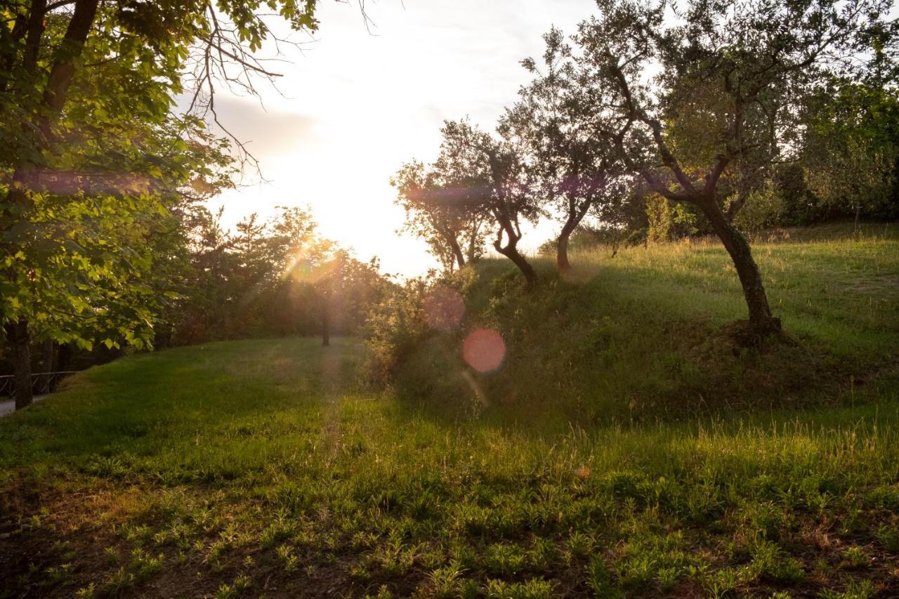 Agriturismo Le Cerque Collazzone Exteriér fotografie